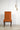 Orange Dining Chair With Back Design & Polished Leg - JAIPURIA EMPORIUM