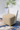 Modern Bouclé Accent Chair – Compact & Stylish Seating for Living Room & Café